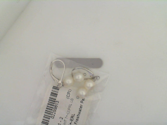 Silver Earring