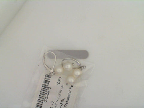 Silver Earring